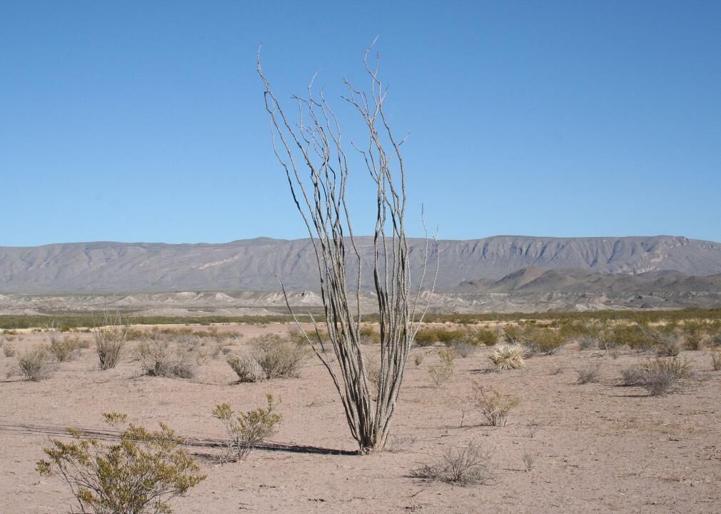 Texas: Brewster County